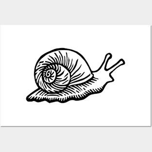 Perwinkle Snail Print Posters and Art